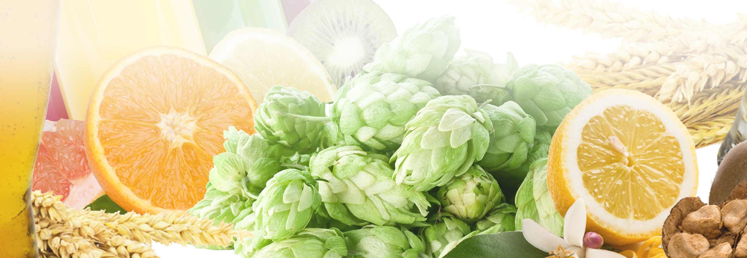 Beverage Ingredients Sourcing & Procurement
