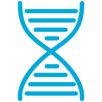 Protein Drink Formulation